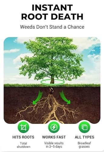 Cyclosinone Herbicide Granules🔥Buy 1 Get 1 Free🔥